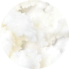 Shea butter ingredient