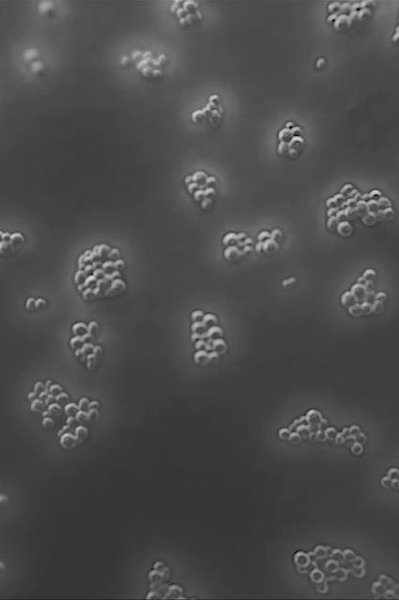 laroche posay aloitussivu mikrobiomitiede bakteerit 2